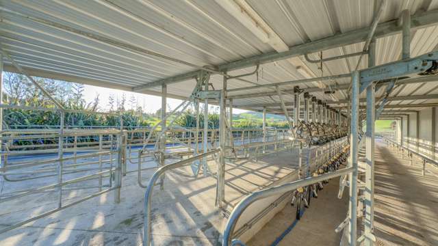 555 Kopuku Road Maramarua_2