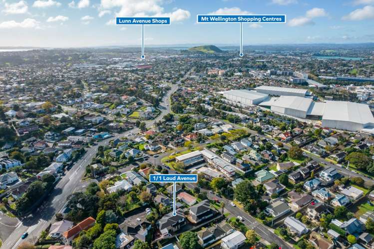 1/1 Laud Avenue Ellerslie_16