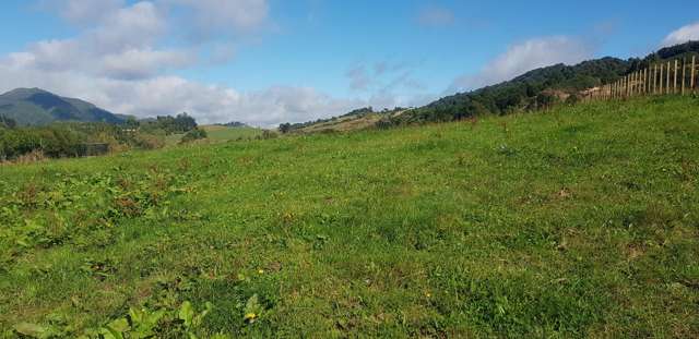 Poland Street Waikino_3