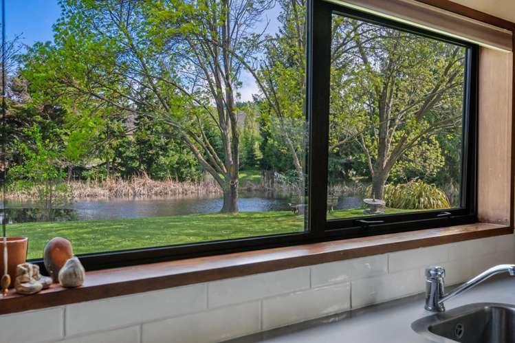 25 Blackman Road Alexandra_13