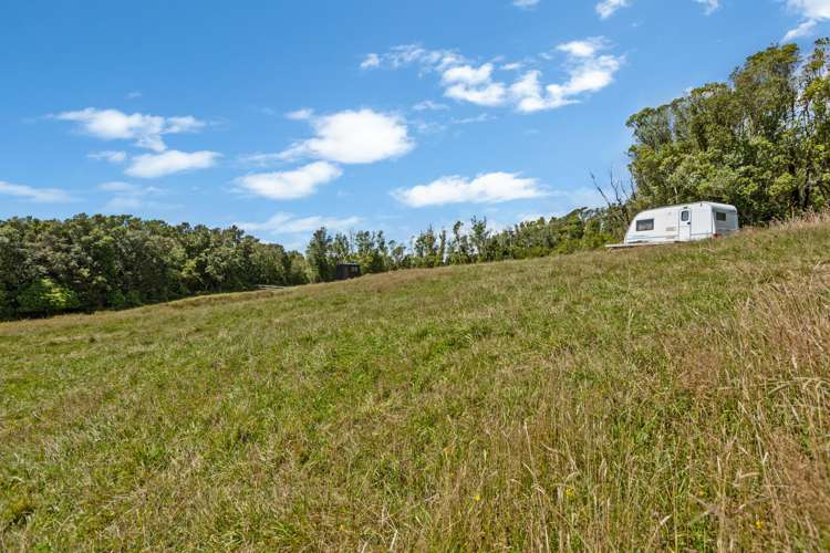 1878 Mangorei Road Mangorei_17