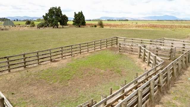 124 Tramline Road Patetonga_1