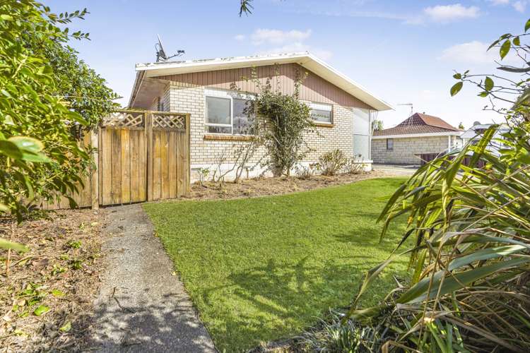 34a Winstone Avenue Chartwell_13