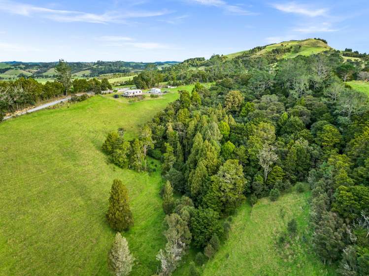 397 Pigs Head Road Hukerenui and Surrounds_18