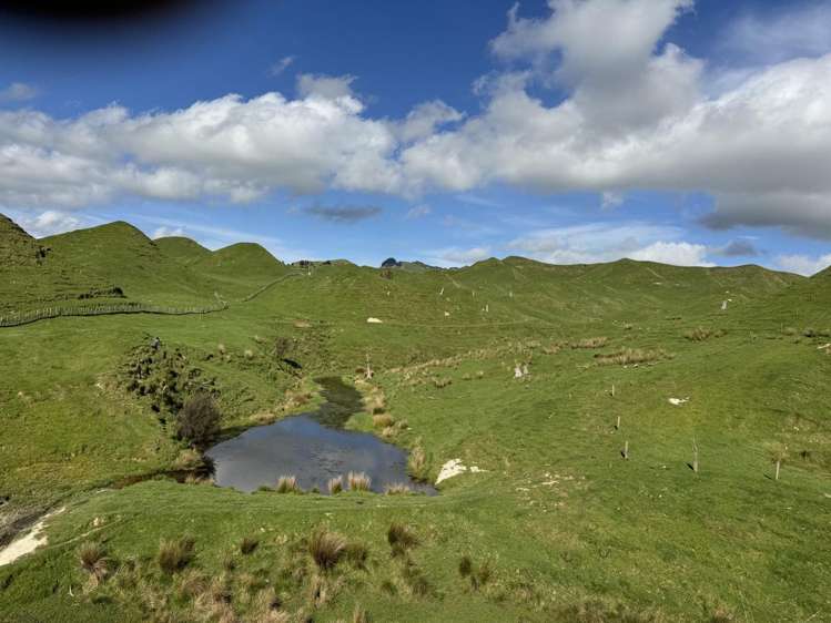 268a Tiriraukawa Road Taihape_12