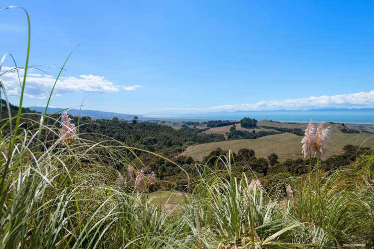 149a Rataroa Road Miranda_1