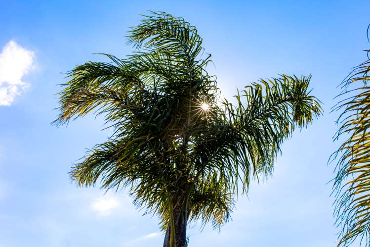 174 Doncaster Drive Papamoa_19