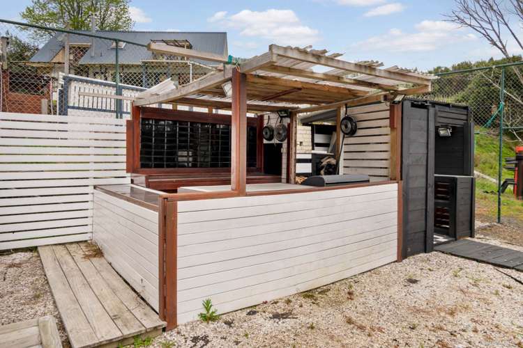 194 Ara-Kotinga Whitford_23