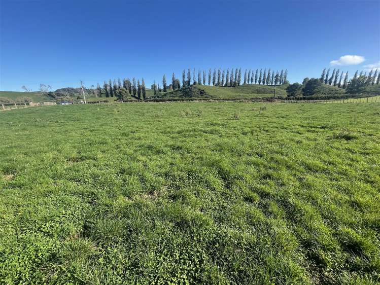 282 Lethbridge Road Otorohanga_4