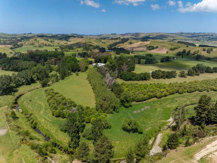 2914 Porangahau Road Central Hawke's Bay Country_24