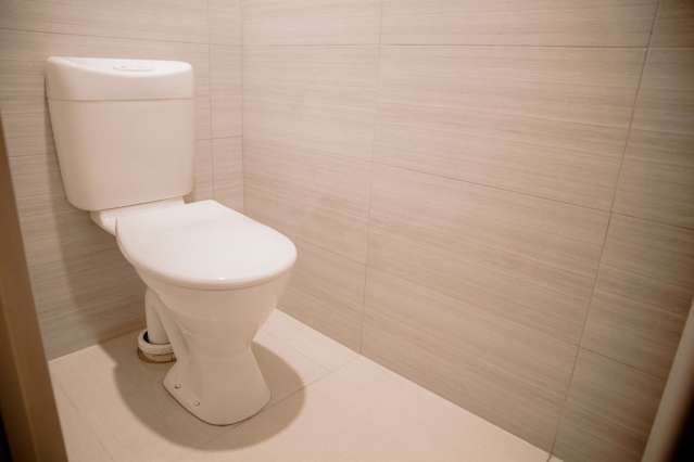 15 Old Park Place Takanini_4