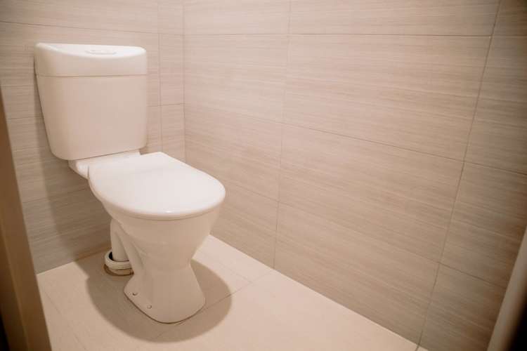 15 Old Park Place Takanini_4