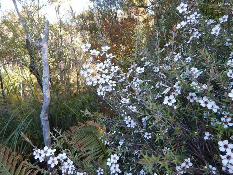 2084 Waiare Road Okaihau_8