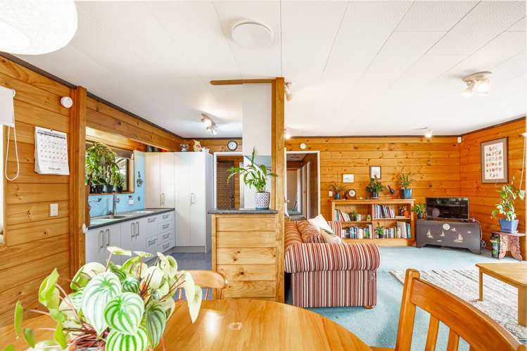 4 Redlands Grove Swanson_11