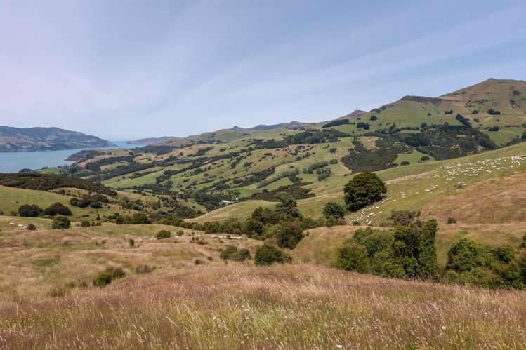 175 Barrys Bay Valley Road Barrys Bay_26