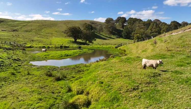 122 Hurndall Street Maungaturoto_19