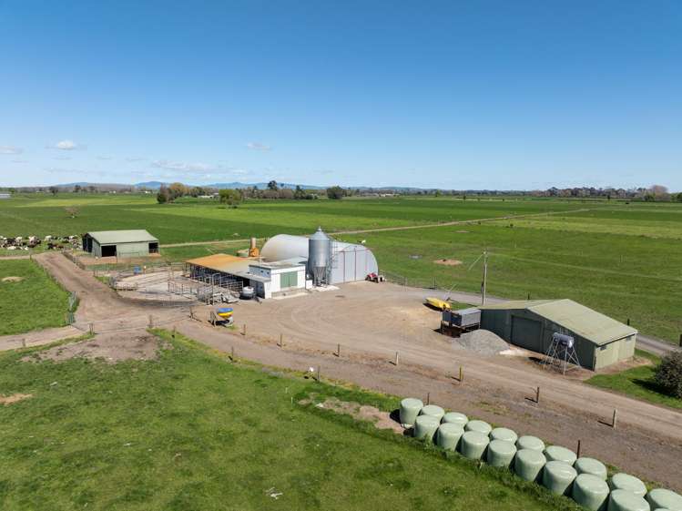 64 No 4 Road Morrinsville_3