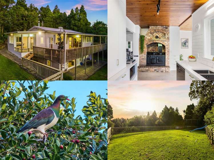 105 Bodhisattva Road Waitoki_30