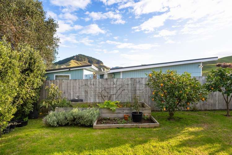 47 Fishermans Bend Whiritoa_12