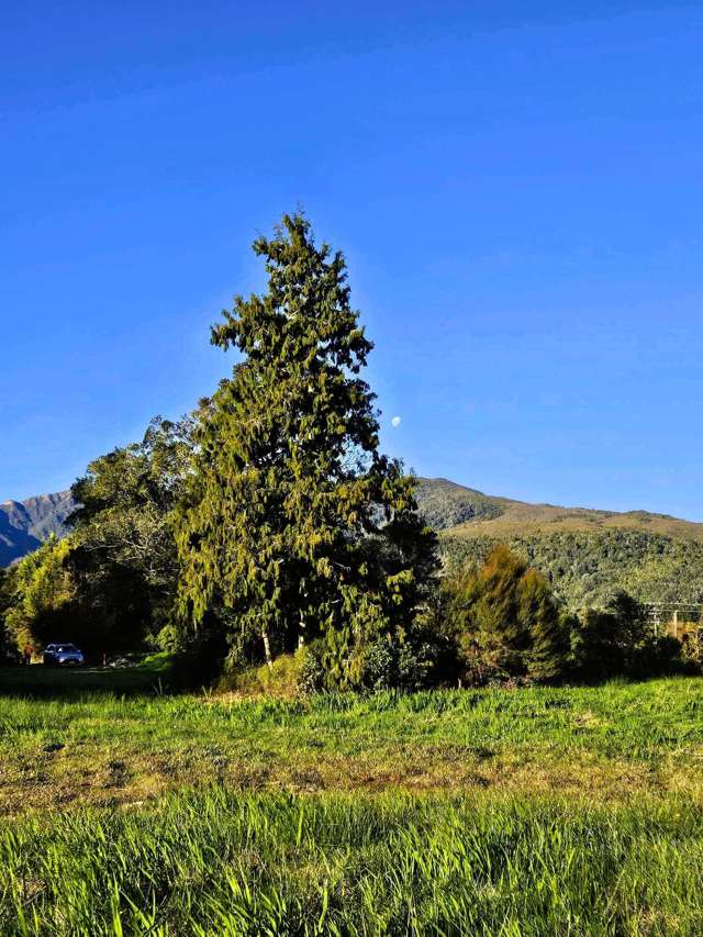 1A Sunderland Street Waimangaroa_3