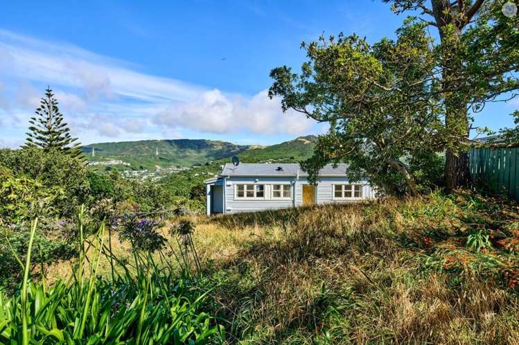 17 Ellora Street Ngaio_11