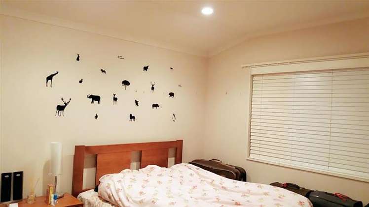 54 Aspiring Avenue Flat Bush_1