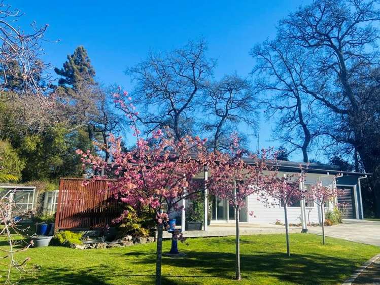 10a Shelton Place Marton_7