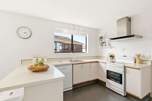 12a Shastri Terrace Khandallah_4
