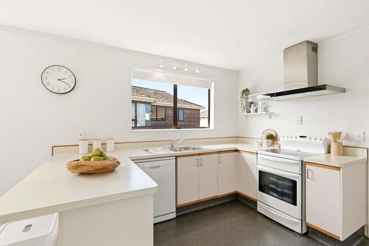 12A Shastri Terrace Khandallah_8