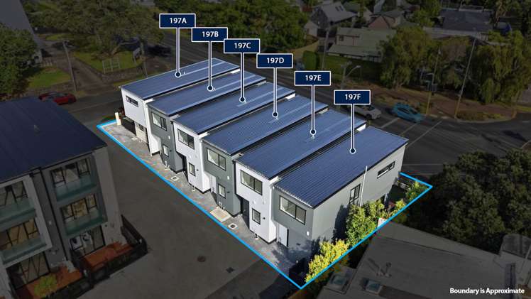 197B Campbell Road Greenlane_32