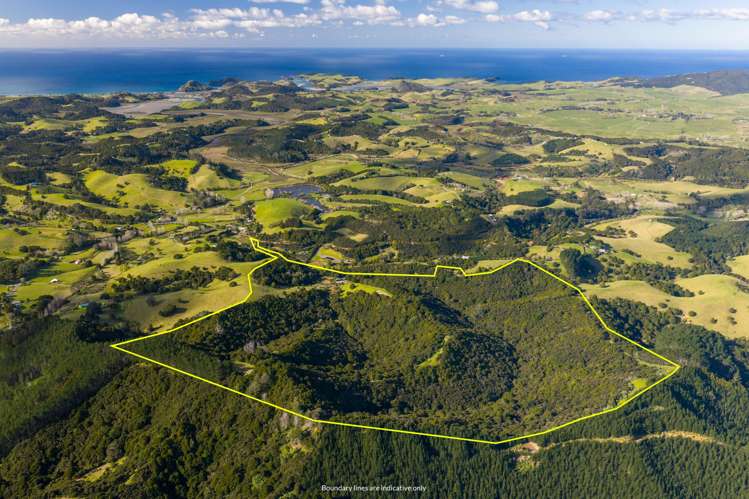 345 Taraunui Road Parua Bay_48