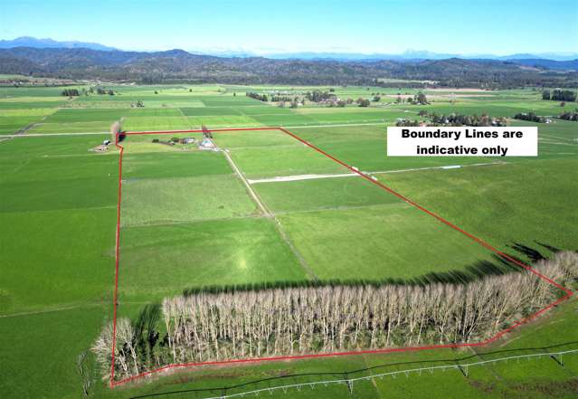 4357 State Highway 7 Totara Flat_1