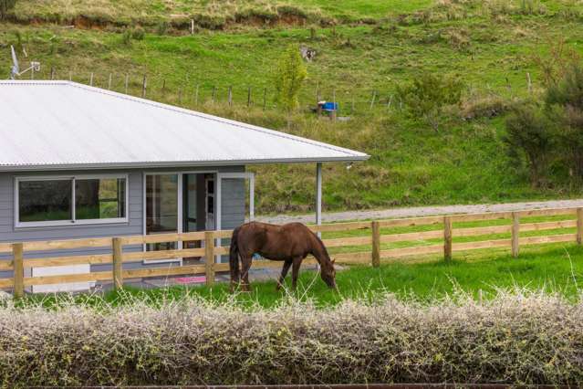 Rural Freedom Just Minutes from Town