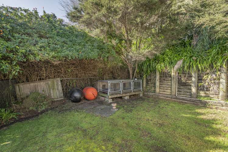30 Tapu Coroglen Road Tapu_22