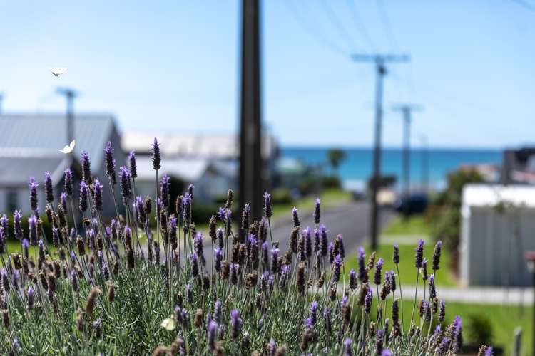 1 Pacific Road Waihi Beach_9