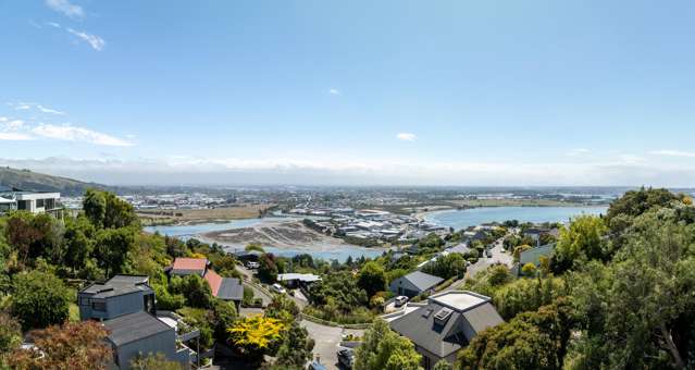 245 Cannon Hill Crescent Mount Pleasant_2