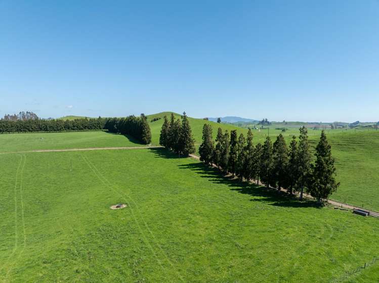 661 State Highway 27, Hinuera Okoroire_5
