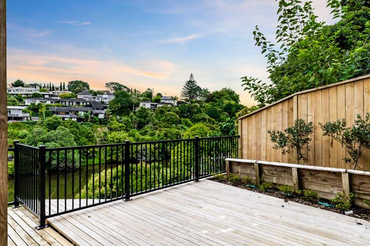 30 Macpherson Street Meadowbank_18