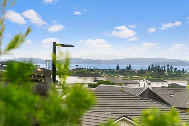 8 Ormonde Drive Silverdale_2