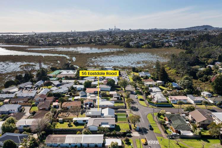 56 Eastdale Road Avondale_28