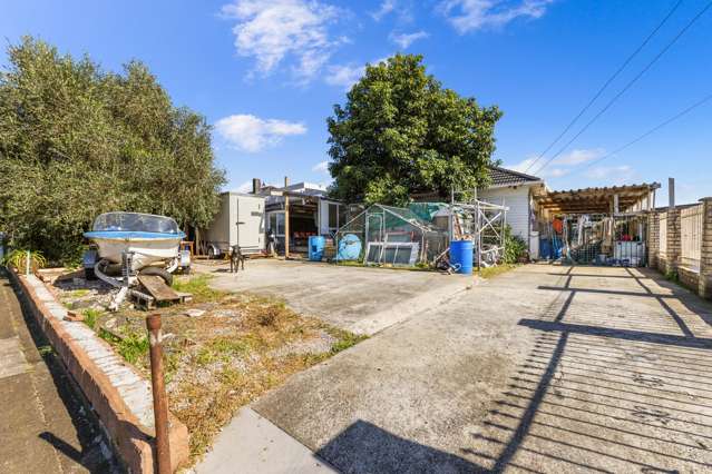 Renovator's Goldmine