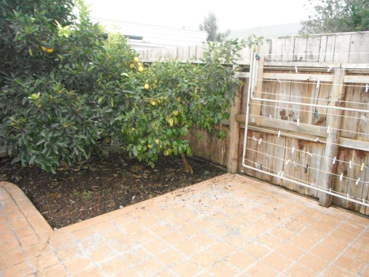 3/13 Wright Road Point Chevalier_8