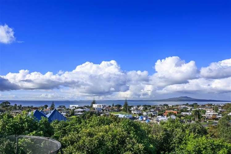 19 Prospect Terrace Milford_3