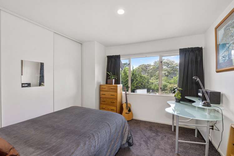 14c Cradock Street Avondale_20