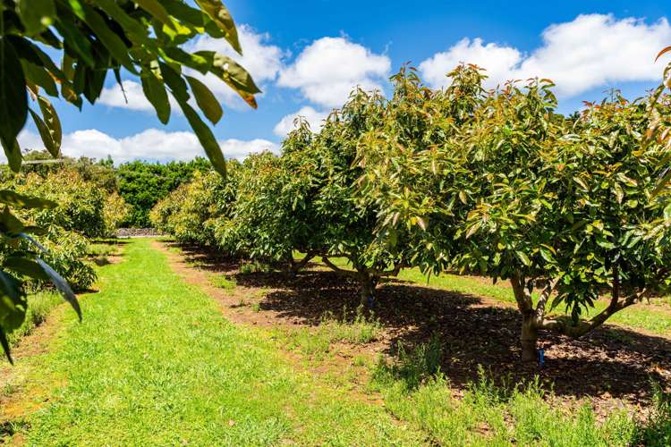 146 Bint Road Maungakaramea_5