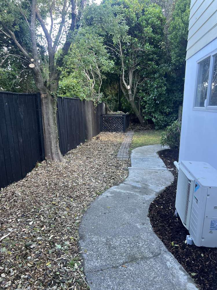 12 Safari Crescent Johnsonville_15