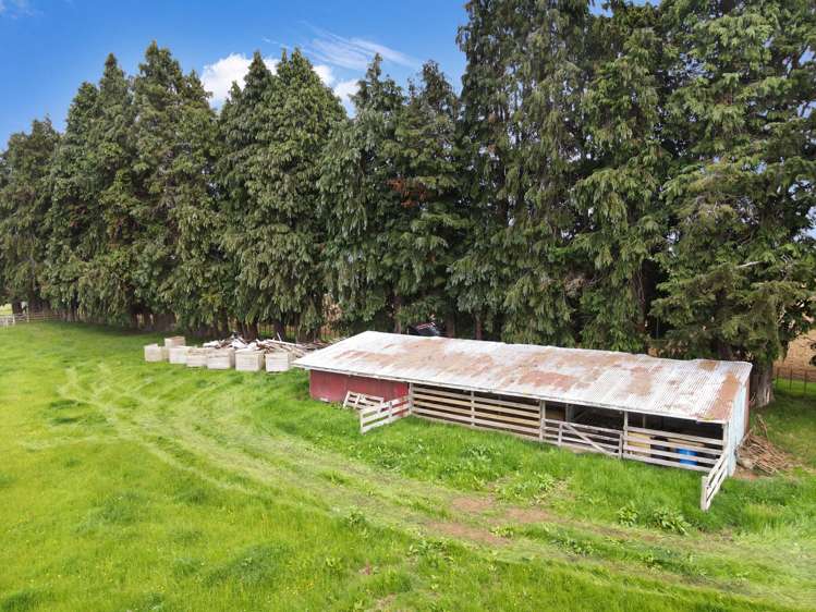329 Raetihi Ohakune Road Ohakune_24