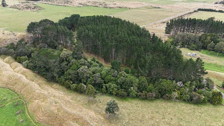 171 Bainesse Road Himatangi_29