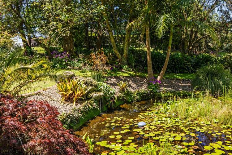 419 Hupara Road Pakaraka_33