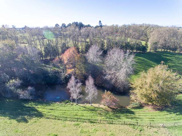 11 Waiari Road Pirongia_1